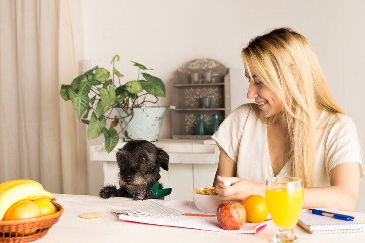 What Fruits Can Dogs Eat? A Complete Guide - Summer Fruits For Dogs With Lactose Intolerance