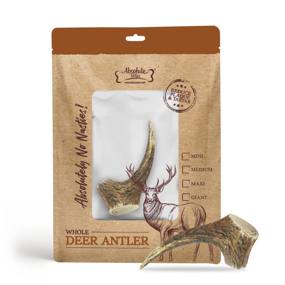 (exp: 05 Apr 2025) Absolute Bites Dog Mini Whole Deer Antlers Dental Chew Dog Treat