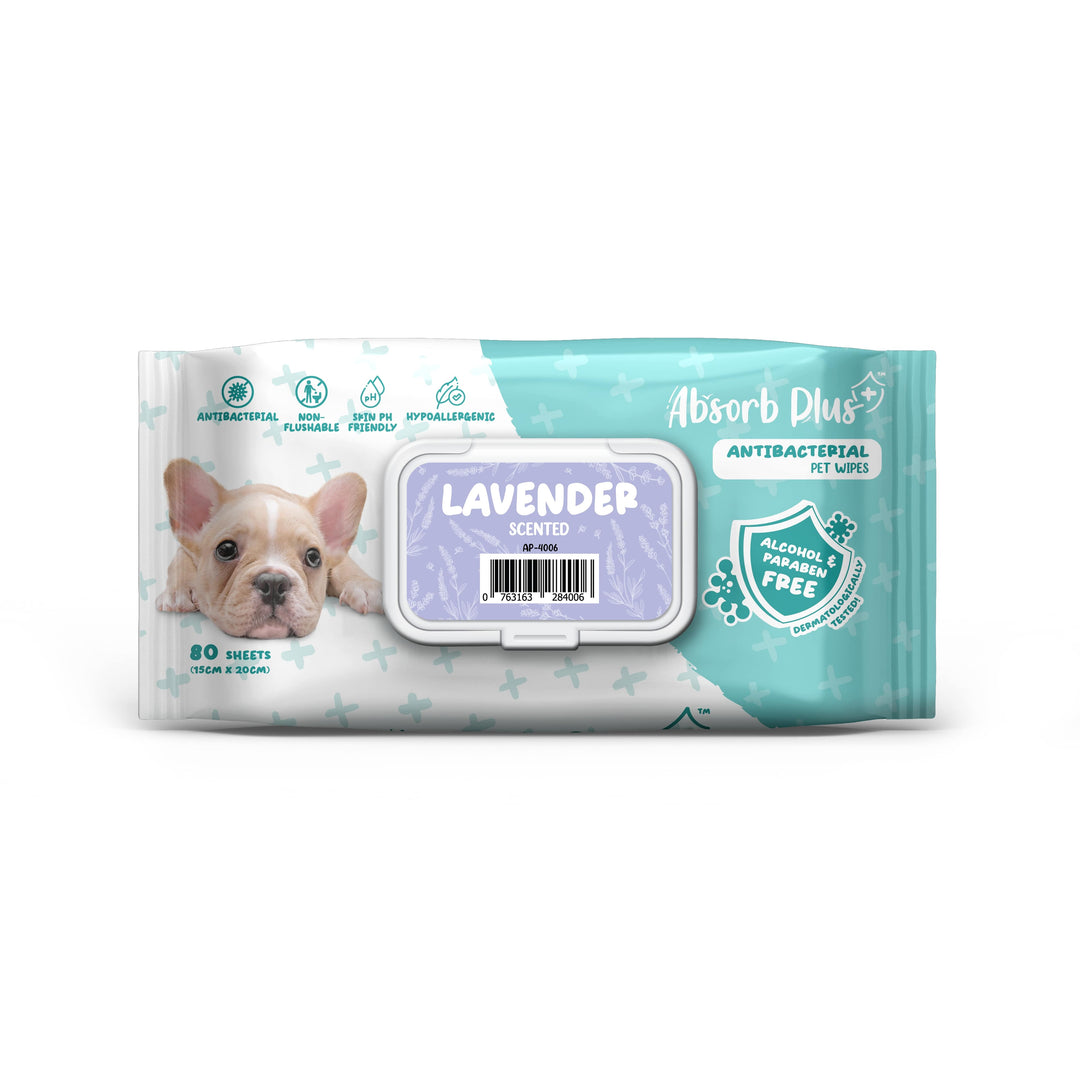 Absorb Plus Antibacterial Pet Wipes 80 Sheets (15cm X 20cm) Lavender