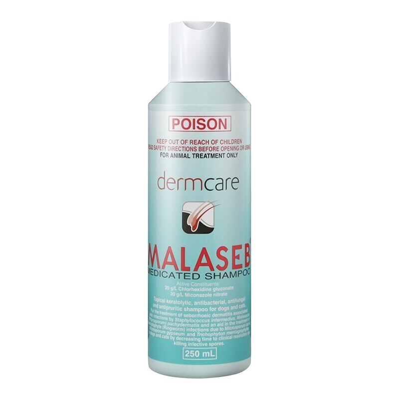 Dermcare Malaseb 250ml Medicated Shampoo