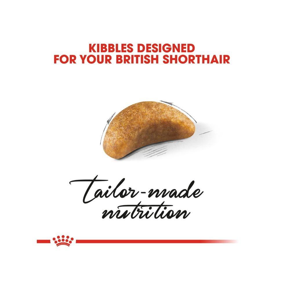 Royal Canin British Shorthair Kitten 2kg Dry Cat Food Online Pet Shop Malaysia Online Pet