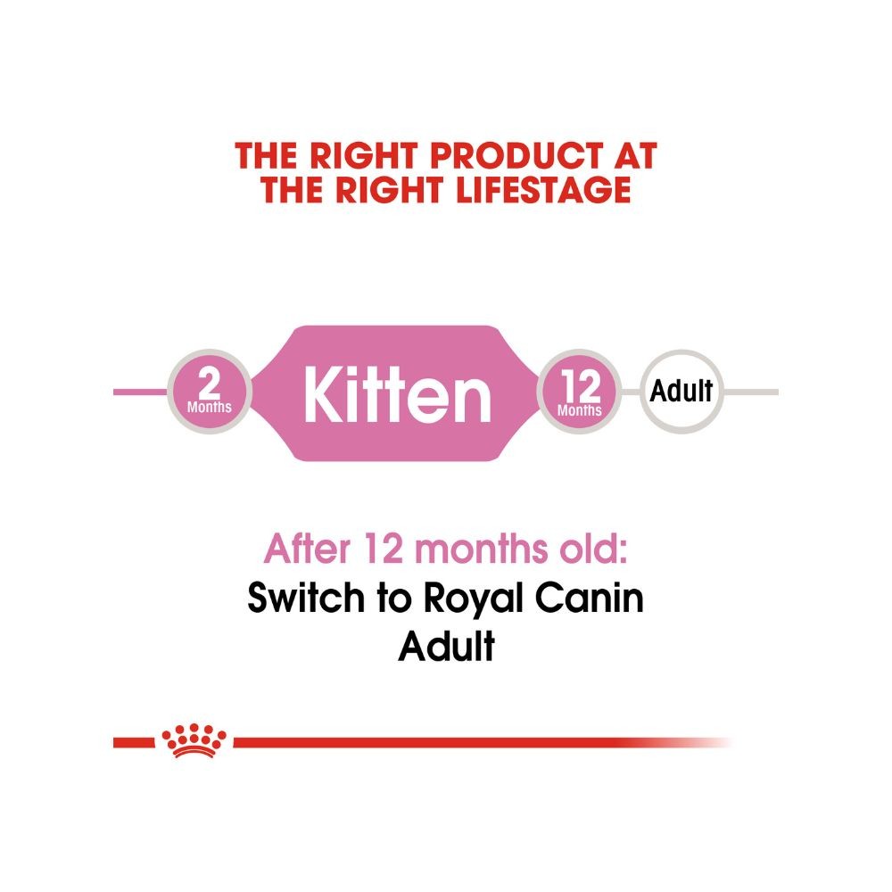 Royal Canin Kitten 36 4kg Dry Cat Food - Online Pet Shop | Malaysia