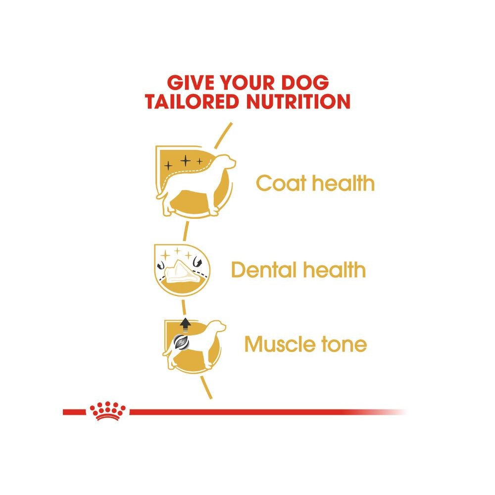 Royal Canin Poodle Adult 7.5kg Dry Dog Food - Online Pet Shop ...